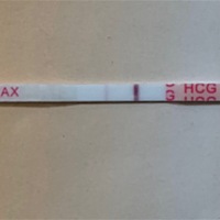 排卵后第十天晚上，本来没有抱什么希望，测验就去洗澡了，洗完出来居然看到双杠，备孕半年了，真的想哭...