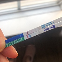 这应该是有了吧，但从昨天晚上开始，上厕所老是有褐色的分泌物，是为什么啊😔