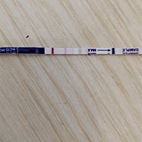 末次2月18，3月18测出水印，，下面是这几天的试纸加深，，有没有懂的帮我看看，血值好不好，，宫内还是...
