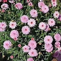 每次看着熟睡中的二宝，就觉得他幸福满满的，至少不像大宝出生呢会，做了留守儿童(落后农村婆婆家),二宝...