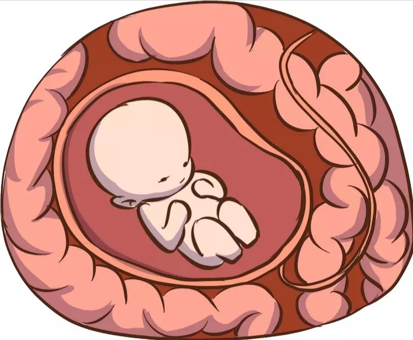 产后痔疮如何破？
❤调整饮食的摄入❤
首先要多喝水！平时注意饮食清淡，不要吃一些辛辣刺激、易上火、难消化的食物，如油炸类食品、辣椒等。多吃含纤维质的食物，如芹菜、白菜、燕麦、香蕉、红薯等，保持大便畅通柔软。
❤加强产后运动❤
产后女性的身体较虚弱，但整日卧床不利于周身血液流通，活动量少会使直肠蠕动缓慢，致使粪便滞留体内。应坚持适当的运动，加强局部锻炼，可多做凯格尔运动。治疗痔疮的同时促进盆底肌的恢复。
❤保持良好的个人卫生❤
平时要注意个人局部卫生，勤洗澡，勤换洗内裤。每次排便后最好都要清洗一次，注意不要用粗糙的卫生纸擦拭，避免碰到痔疮，引起感染。养成每天排便的好习惯粪便长期滞留在肠道很容易便秘。早起的一杯温开水可促进肠道蠕动，保持大便通畅。不要在上厕所的时候玩手机或者是看报纸、看书，注意不要忍大便或者是过于用力排便。