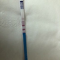 2.17最后一次经期，排卵期就安排了一次，3月24了月经都没来，这是中了吗，希望每个备孕的宝贝都好孕
