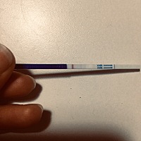 昨天晚上就有见血了直到夜里睡时肚子一直胀痛头也痛，今天24号是月经日，也没见血下来，上厕所时能看见...