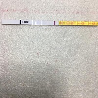 以前也没备孕，也没想要宝宝，就是这一次想要试一下。结果中了！ 9.1排卵日（美柚上写的，我自己也没有...