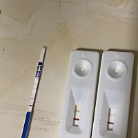 备孕近5年，没怀孕。这次月经开始到今天34天了，月经一直推后。这次乳房胀痛，有的时候有点小恶心。肚子...