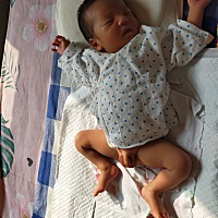 打卡21天 晒太阳