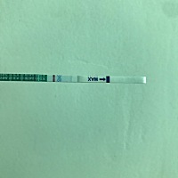 这个月真的很着急