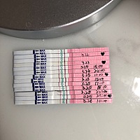 帮我看看排卵了吗  还用再同房吗