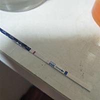 烦死了，我要被折磨的崩溃了，天天验尿，心情很不愉快，可能要来大姨妈的关系，心情烦躁，抑郁。为什么...