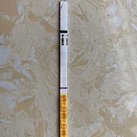今天就是姨妈日了，然后是这样，姨妈还没到，紧张😓