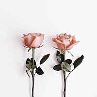 备孕的第二个月再次失败，原来怀孕这么难，原来每一个生命的来临都那么珍贵。 ps早上出门称体重发现瘦了...