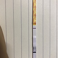 3月1号月经，3月15排卵，测了几天白板，眼睛都自带双杠了