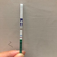 有同排卵有测出来的吗？