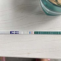 17的排卵日 4月1号的大姨妈 测了一下 不知道是不是炸糊 感觉屁多 小腹疼 胸痛加乳头痛 有时恶心想吐