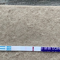 15号排卵期，29号应该来大姨妈的没来（我的姨妈每次都很准时，然后就测了一下，有道杠杠不是很明显，是...