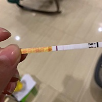 前天测试的时候还是单条杠就没去烫了一下刘海，没有挨着头皮，只是刘海下半部分，今早晨尿测试很明显的...