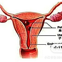 ●保证睡眠充足 良好的睡眠是保证身体健康的必需品。坐的时间不能太久。 ●健体娱心 坚持锻炼、增强体质...