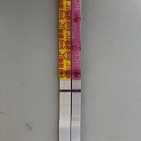 3.19排卵，从左到右是3.30和3.31晨尿测的，并没有明显变化，不知道有戏不