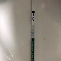 怀孕了吗？根本没有备孕！