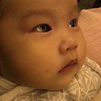 生下来不要扔系列