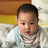 生了个小奶狗，男孩跟女孩子一样粘人😃😃