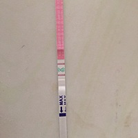 请问这个是不是证明要排卵了，今天下午测的！