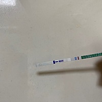 末次2月27，排卵日3月15同房一次，都测出来了吗？今天4月2，姨妈没来，早上测了 还是下面这个大白板