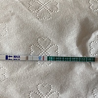 这样是有了吗