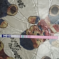昨晚测的，今晚同房有希望吗
