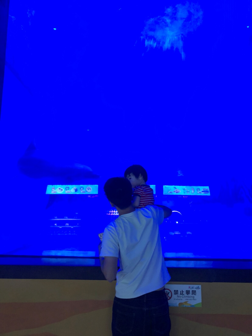 爸爸带着妹妹去极地海底世界看海豚