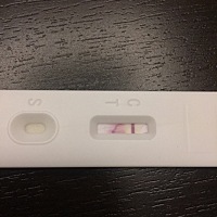 3月20号排卵同房，今天应该来大姨妈没来，家里就这一个测试工具，结果居然是这样的，有经验的能帮我看看...