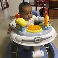 好玩，每天在店里一回来第一时间就想着跟他玩，呆萌呆萌的，可爱🐶