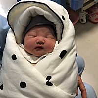 快速喜提小米妮一枚 顺产6.6斤  母女平安 感谢大家的牵挂[愉快]