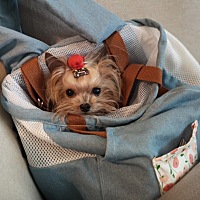 月经结束第7天 那天晚上同房了 第二天早上起来 排卵试纸是一深一浅 第三天也就是今天测已经变成一条线了...