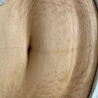 十个月的纹也好烦