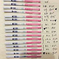 这样是不是4.1号排卵了