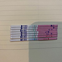 我1号生化完。3号的排卵到今天