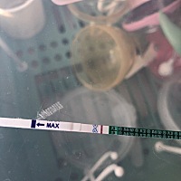 三月二十五六号排卵强阳，不知道那天排的，还有两天姨妈……试纸还这样，胸涨腰疼估计是姨妈快来了，难...