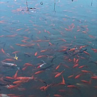 3.6号月经结束，姨妈现在还没有来，早孕试纸白板，排暖阳，还有希望吗，姐妹们，好煎熬啊，啊啊，痛苦�...