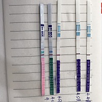 同房后9天测的，最后一个是排卵试纸，这应该能确定了吗？