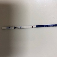 这是有还是没有啊