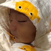 好吧、凑五个字