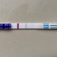 距离大姨妈来还有五天，最近一直不舒服，肚子隐隐作疼，胸一碰就疼，胃口特别差，恨不得喝醋那种。。。...