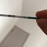 3月26号排卵期 大家帮看看有没有？