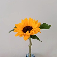 愿小宝永远健康快乐平安的成长……