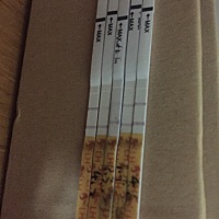 图为排卵试纸23456，456同房，期待好运连连！不过早上发现有XX流出来了这有关系么，晚上侧卧的！