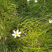 今天早上大姨妈来了，推迟了十天