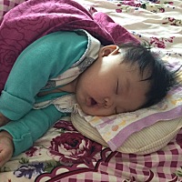 太想拉起来揍一顿了