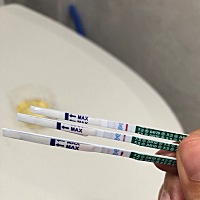 3.25排卵日，刚刚收到验孕纸下午3点测了一下，这个结果是？ 有的人说要晨尿才准吗？