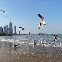 备孕大半年，3月25号左右排卵期，期间有同房，31号测白板，4月5号测白板，月经大概8号左右来，今天阴道...